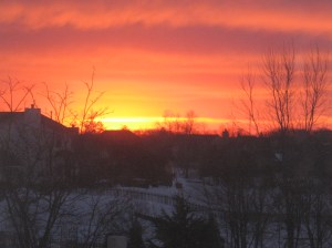 View out my kitchen window last week